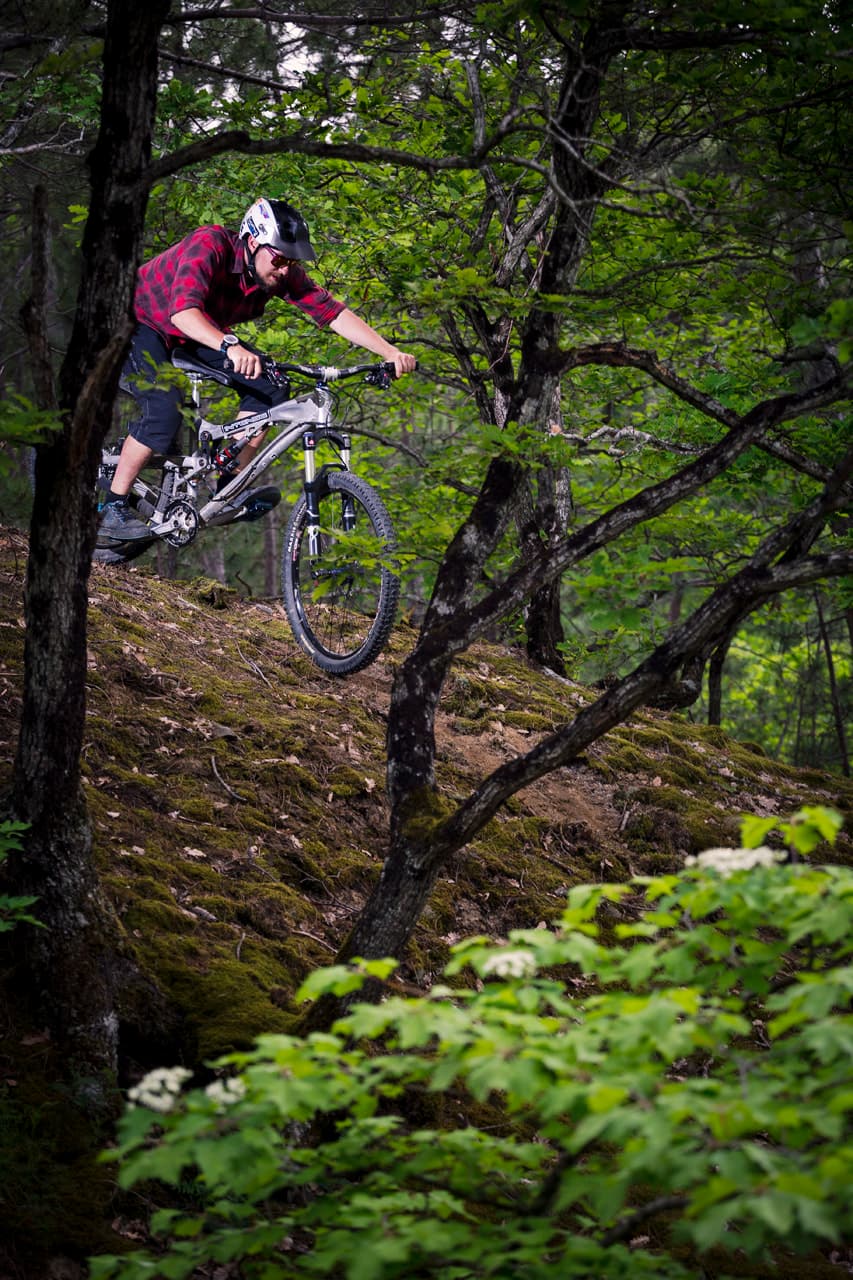 Illustrative photo of a mountain biker descending a wooded trail; not a photo of this venue.
